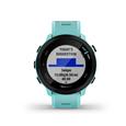 Smartwatch Garmin Forerunner 55 - aqua